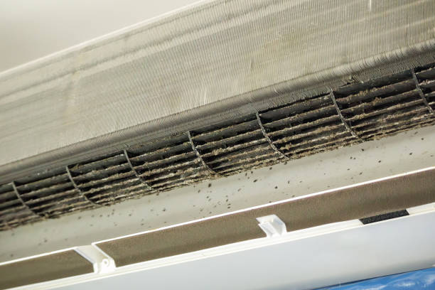 Best Dryer Vent Cleaning Services  in Portageville, MO